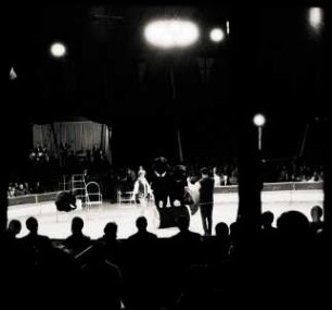 Circus Sarrasani, Hannover, ohne Jahr