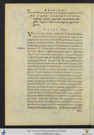 Cap. VII – VIII.