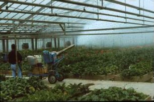 Fotografie: Pflanzenschutz, Gartenbautechnik-Gewächshaus
