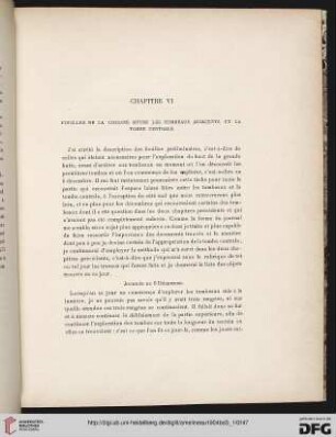 Chapitre VI: Fouilles de la colline entre les tombeaux adjacents et la tombe centrale