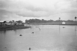 Badenden Büffeln : Seelandschaft mit Häusern und badenden Büffeln