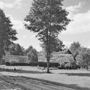 Strohgedecktes Blockhausgehöft auf der Willischza, ein Höhenzug in Burg. : Ze słomu kryty kładźity statok na hórčinje Wilišća w Bórkowach.
