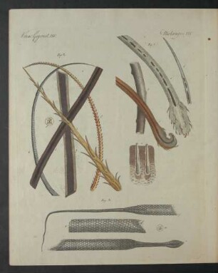 Tafel: Verm. Gegenst. XIV.