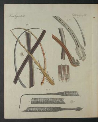 Tafel: Verm. Gegenst. XIV.