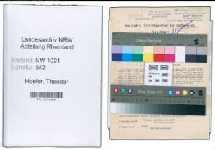 Entnazifizierung Theodor Hoefer , geb. 08.01.1893 (Industriebetriebsleiter)