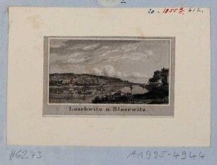 Loschwitz bei Dresden von Blasewitz über die Elbe mit Schiffen gesehen, links das Dorf Loschwitz mit der Kirche, rechts der Gasthof Schillergarten in Blasewitz