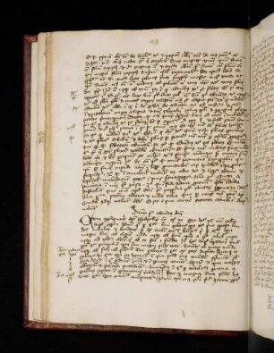 Conradus de Waldhausen.