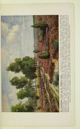 Die Lüneburger Heide an der mittleren Luhe