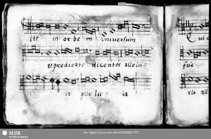 Wilhelm Breitengraser: Ite in orbem universum