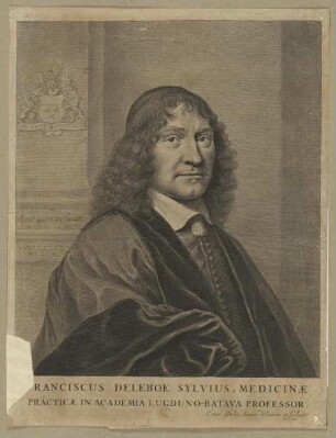 Bildnis des Franciscus Deleboe Sylvius