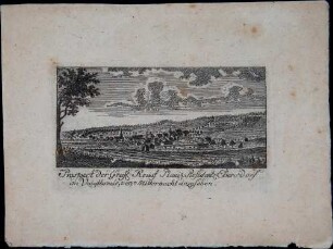 Prospekt der Graefl. Reuss* Plauis. Residentstadt Greitz im Voigtlande, von Süd-West anzusehen
