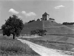 Burg Wildeck