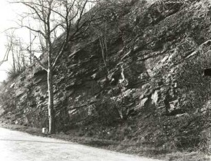 Oberlausitz. Tal des Weißen Schöps bei Kunnersdorf-Siebenhufen (Kreis Görlitz). Grauwackenaufschluss (Algonikum) an der Straße