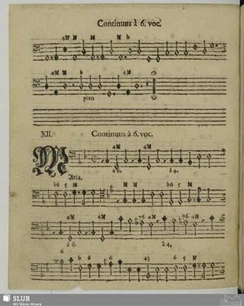 XII. Maria gegrüßet seist du