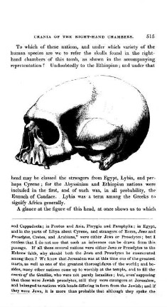 Ethiopian Skull