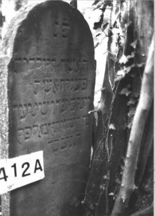 Grabstein 412 (Index: 99898281) Material: Sandstein Zustand: leicht angewittert Maße HxBxT: 116x44x8 cm Beschreibung: Stele mit leicht eingezogenem Rundbogenabschluss: Grabstein 412A