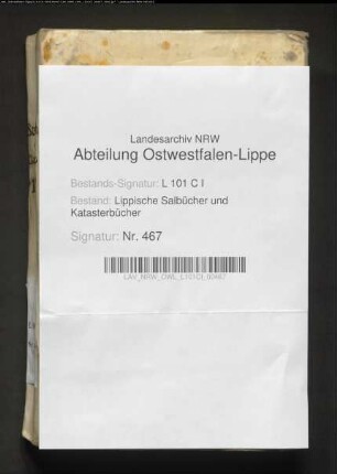 Salbuch der Stadt Barntrup von 1781