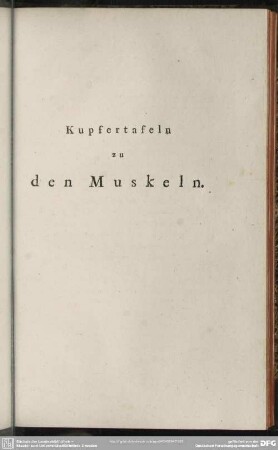 Kupfertafeln zu den Muskeln
