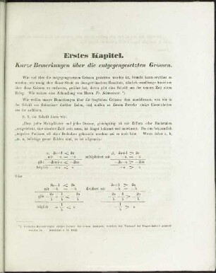 Erstes Kapitel. Kurze Bemerkungen über die entgegengesetzten Grössen