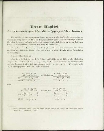 Erstes Kapitel. Kurze Bemerkungen über die entgegengesetzten Grössen