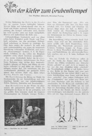 Von der Kiefer zum Grubenstempel