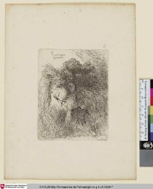 Un vieillard vu de profil et tourné vers la gauche [Kopf eines alten Mannes mit orientalischem Kopfschmuck]