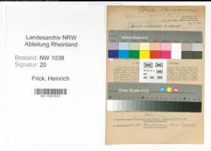 Entnazifizierung Heinrich Frick , geb. 03.09.1906 (Beamter)