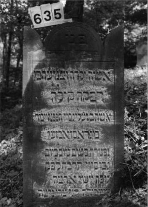 Grabstein 635 (Index: 99802934) Material: Sandstein Zustand: gut Maße HxBxT: 97x54x11 cm Beschreibung: Stele mit eingezogenem Rundbogen und Seitenakroterien Besonderheit: Endreim: Grabstein 635