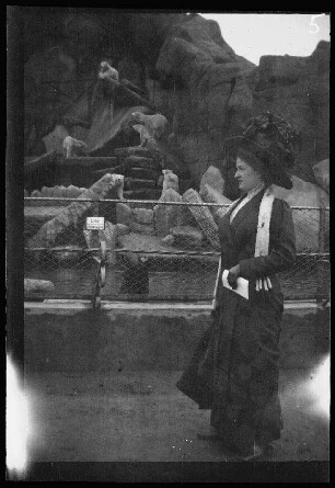 Hamburg: Dame ("nette Hamburgerin, mit der sich Eugen von Frauenholz gut vertrug") im "Tierpark von Hagenbeck in Stellingen" vor Eisbär-Gehege (zur Seite gewandt)