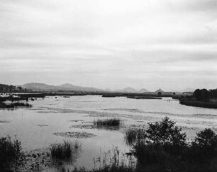 Hirnsener Großteich : Hirnsener Großteich (Novozámecký rybník)
