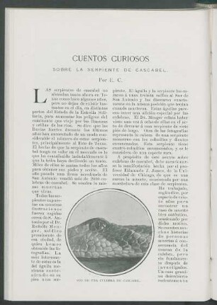 Cuentos curiosos sobre la serpiente de Cascabel.