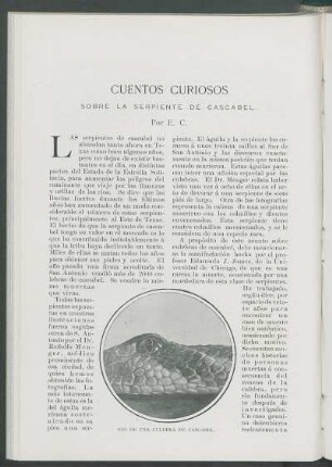 Cuentos curiosos sobre la serpiente de Cascabel.