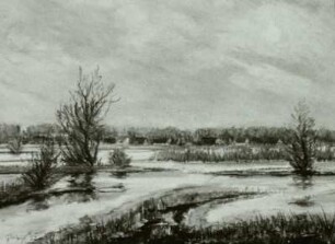 Bruchwiesen im Winter