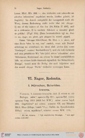 VI. Nager, Rodentia