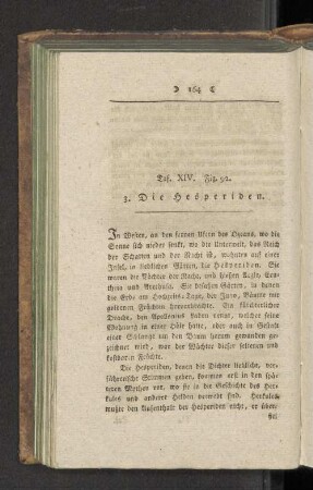 Taf. XIV. Fig 92. 3. Die Hesperiden.