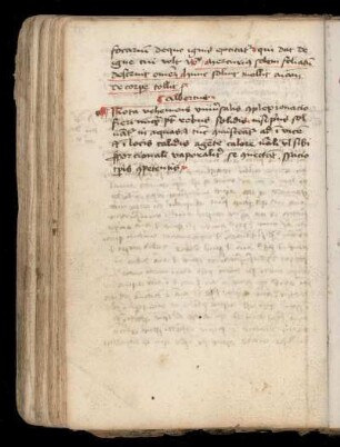 Albertus [Magnus]: Nota vehemens universalis complexionatio