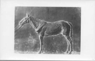 Onyedi (Relief). Gips (?), getönt (1934; E. Richter). Dresden-Südvorstadt, Eisenstuckstraße, Atelier der Bildhauerin