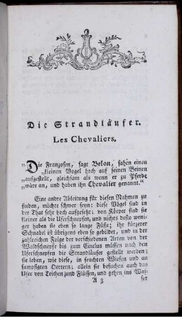 Die Strandläufer. Les Chevaliers.