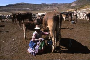 Peru 1990, Viehzüchter im Anden-Hochland