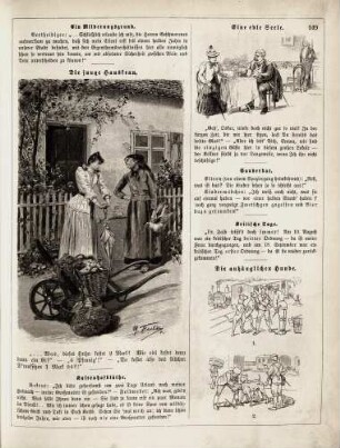 "Die junge Hausfrau" "Eine edle Seele" "Die anhänglichen Hunde"