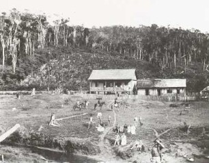 Brasilien, Kolonisation, 19./20. Jh., Rodung mit Gehöft