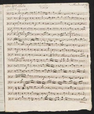 39-42 Viola