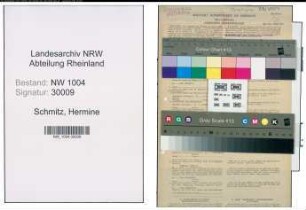 Entnazifizierung Hermine Schmitz , geb. 07.03.1899 (Postassistentin)