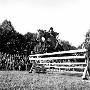 Kreispferdesportverband Stormarn e.V.: Exer: Kreispferdeleistungsschau: Teilnehmer beim Springreiten, dahinter Zuschauer