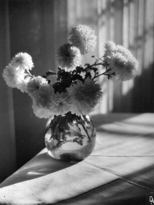 Blumen in Vasen. Chrysanthemen in einer kugeligen Glasvase