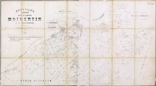 N° VIII; Brouillon von der Hoffeldmark Moidentin, D. A. Meklenburg