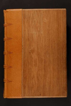 Sammelhandschrift mhd. Epen und Lieder : Ms. germ. fol. 1062