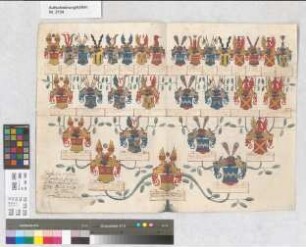 Proband: Ascheberg, [Johann Matthias Detmar Anton] von; Vater: Ascheberg, Johann Matthias von; Mutter: Lipperheide, Catharina Agnes Elisabeth von: Münster, Domkapitel
