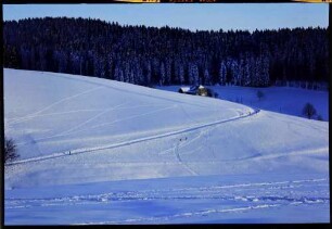 St. Märgen: Weg am Hang im Schnee