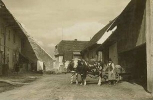 Sattai (heute Dubá-Zátyní / Tschechien). Dorfstraße mit Ochsengespann